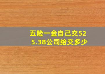 五险一金自己交525.38公司给交多少