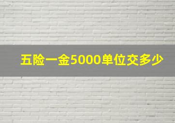 五险一金5000单位交多少