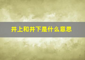 井上和井下是什么意思