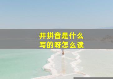 井拼音是什么写的呀怎么读