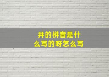 井的拼音是什么写的呀怎么写