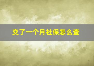 交了一个月社保怎么查