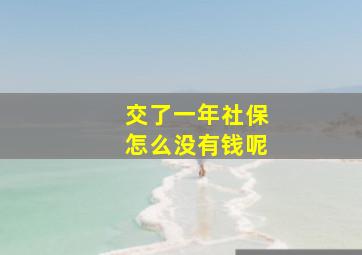 交了一年社保怎么没有钱呢