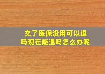 交了医保没用可以退吗现在能退吗怎么办呢