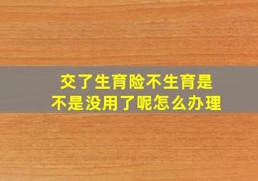 交了生育险不生育是不是没用了呢怎么办理