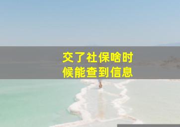 交了社保啥时候能查到信息