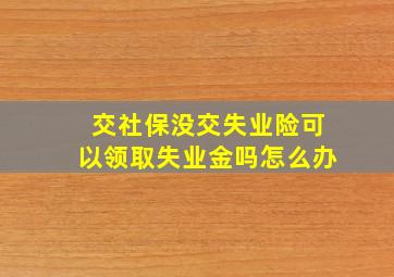 交社保没交失业险可以领取失业金吗怎么办