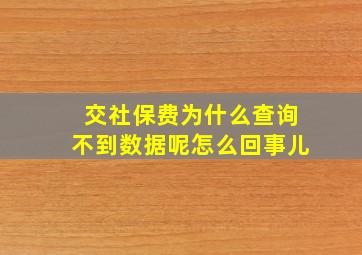 交社保费为什么查询不到数据呢怎么回事儿