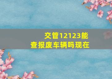 交管12123能查报废车辆吗现在