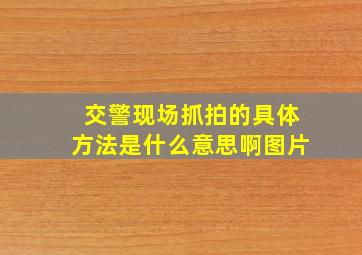 交警现场抓拍的具体方法是什么意思啊图片