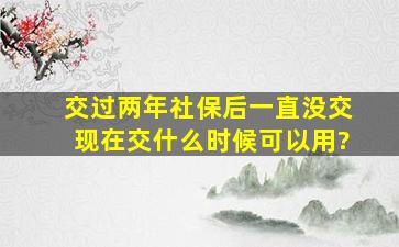 交过两年社保后一直没交现在交什么时候可以用?