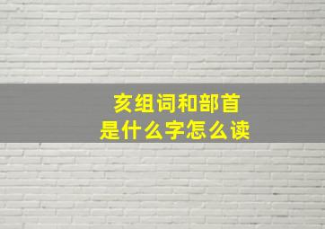 亥组词和部首是什么字怎么读