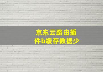 京东云路由插件b缓存数据少