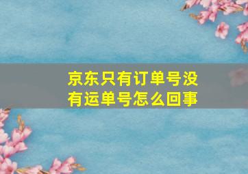 京东只有订单号没有运单号怎么回事