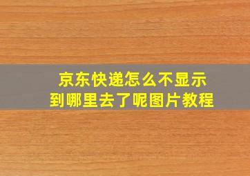 京东快递怎么不显示到哪里去了呢图片教程