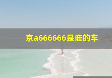 京a666666是谁的车