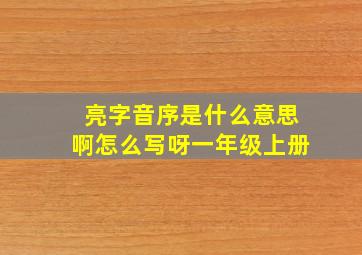 亮字音序是什么意思啊怎么写呀一年级上册