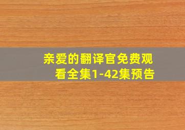 亲爱的翻译官免费观看全集1-42集预告