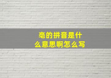 亳的拼音是什么意思啊怎么写