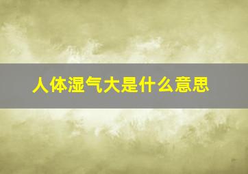 人体湿气大是什么意思