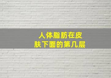 人体脂肪在皮肤下面的第几层