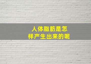 人体脂肪是怎样产生出来的呢