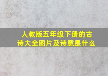 人教版五年级下册的古诗大全图片及诗意是什么