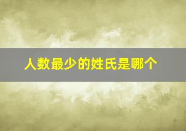 人数最少的姓氏是哪个