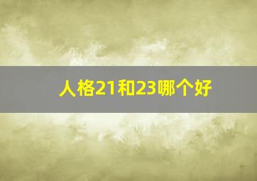 人格21和23哪个好