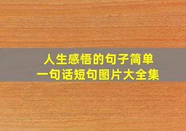 人生感悟的句子简单一句话短句图片大全集