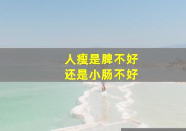 人瘦是脾不好还是小肠不好