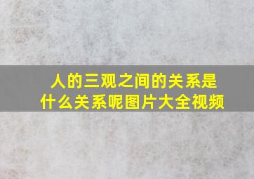 人的三观之间的关系是什么关系呢图片大全视频