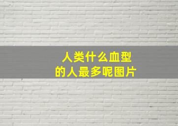 人类什么血型的人最多呢图片