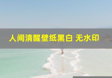 人间清醒壁纸黑白 无水印