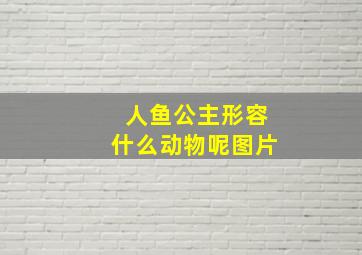 人鱼公主形容什么动物呢图片