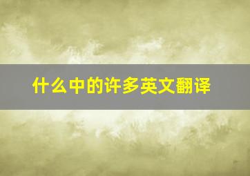 什么中的许多英文翻译