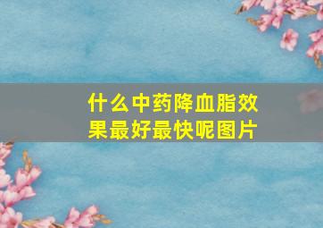 什么中药降血脂效果最好最快呢图片