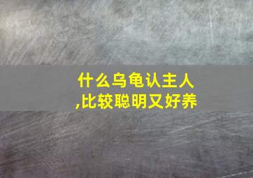 什么乌龟认主人,比较聪明又好养