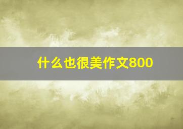 什么也很美作文800