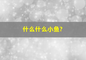 什么什么小鱼?