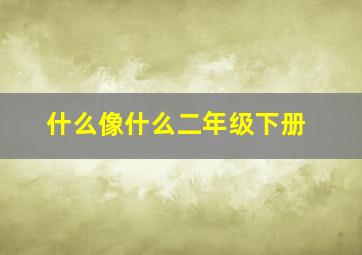 什么像什么二年级下册