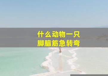 什么动物一只脚脑筋急转弯