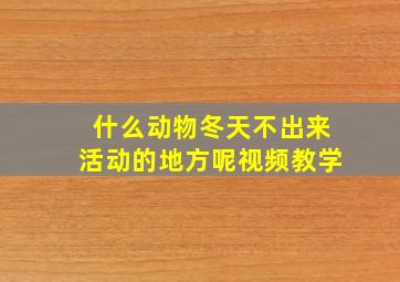 什么动物冬天不出来活动的地方呢视频教学