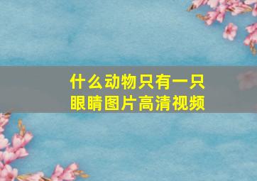 什么动物只有一只眼睛图片高清视频