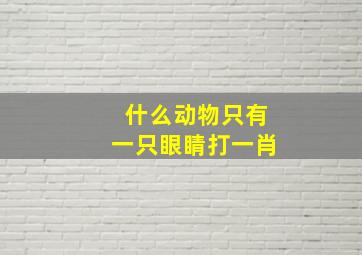 什么动物只有一只眼睛打一肖