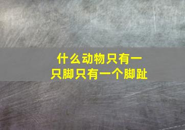 什么动物只有一只脚只有一个脚趾