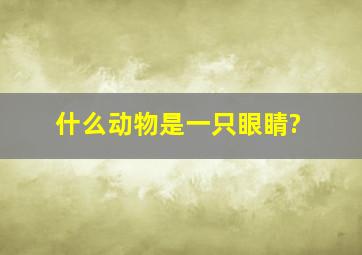 什么动物是一只眼睛?