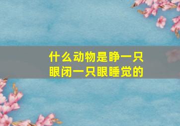 什么动物是睁一只眼闭一只眼睡觉的