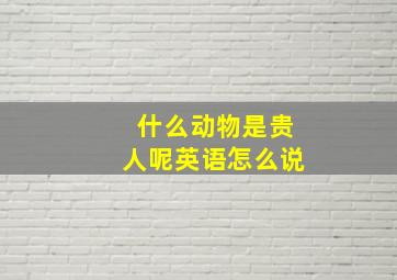 什么动物是贵人呢英语怎么说