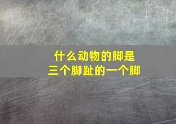 什么动物的脚是三个脚趾的一个脚